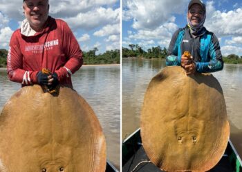 Guia captura arraia gigante no Rio Araguaia e cena chama atenção; vídeo