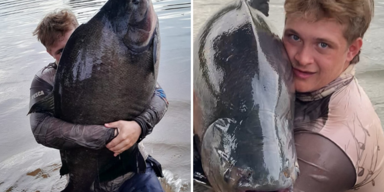 Jovem que pescou ‘monstro dos rios’ de mais de 40 kg comemora: ‘Maior feito que dá para fazer no pesqueiro’